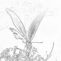 鉛筆作画風