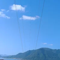 電線